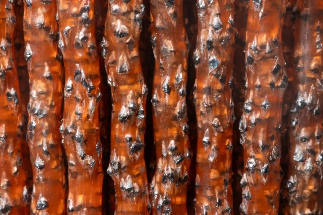 磨料丝细节 磨料丝细节